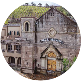 case-mountain Mountain Winery